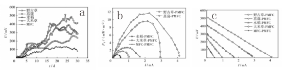 金碧娱乐场
